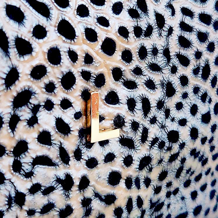 Handcrafted Tuscany Italian Leather "L" Pouch