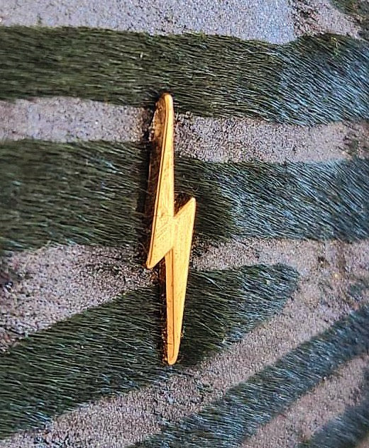 Emerald Zebra Bolt Pouch