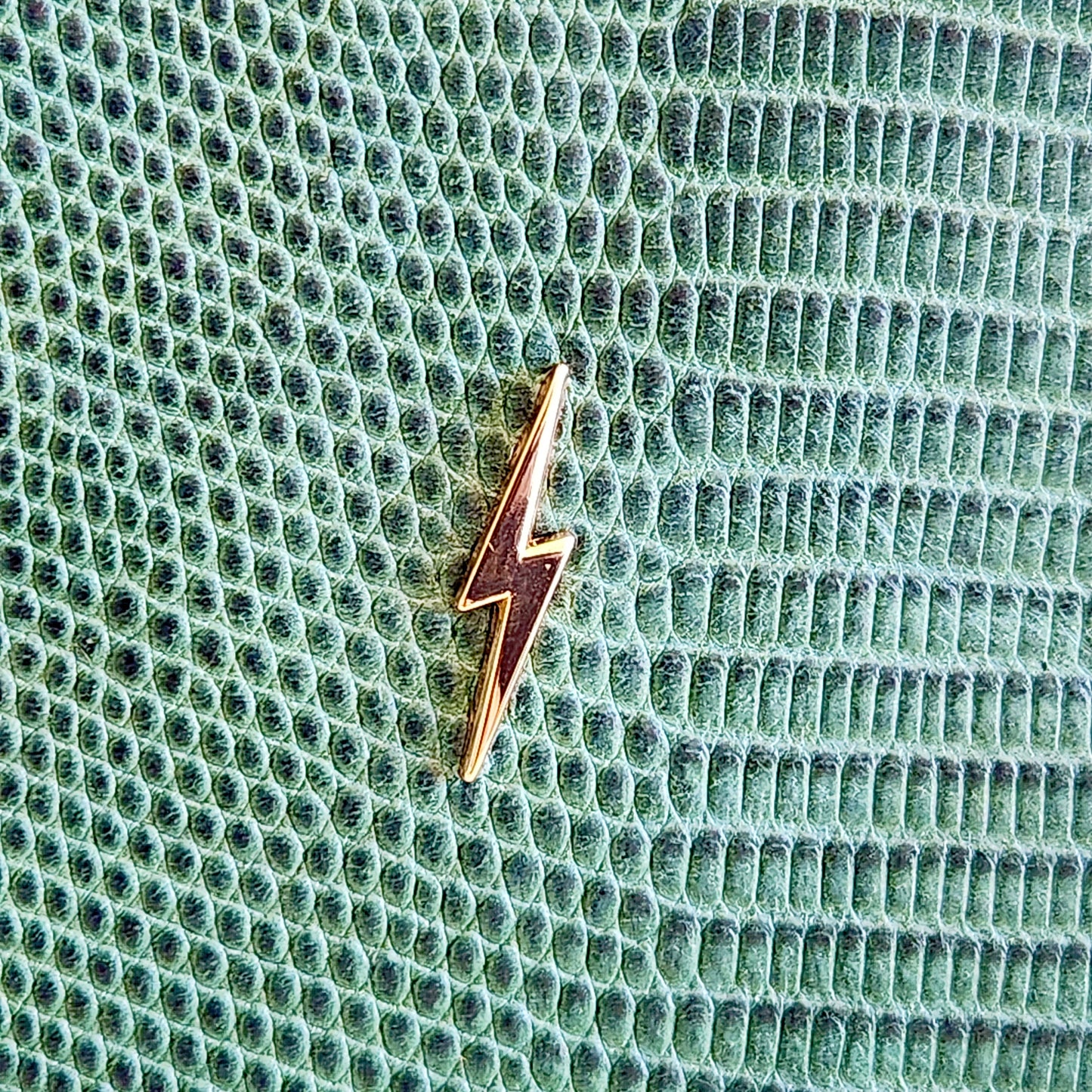 Emerald Kashimir Lizard Print Pouch