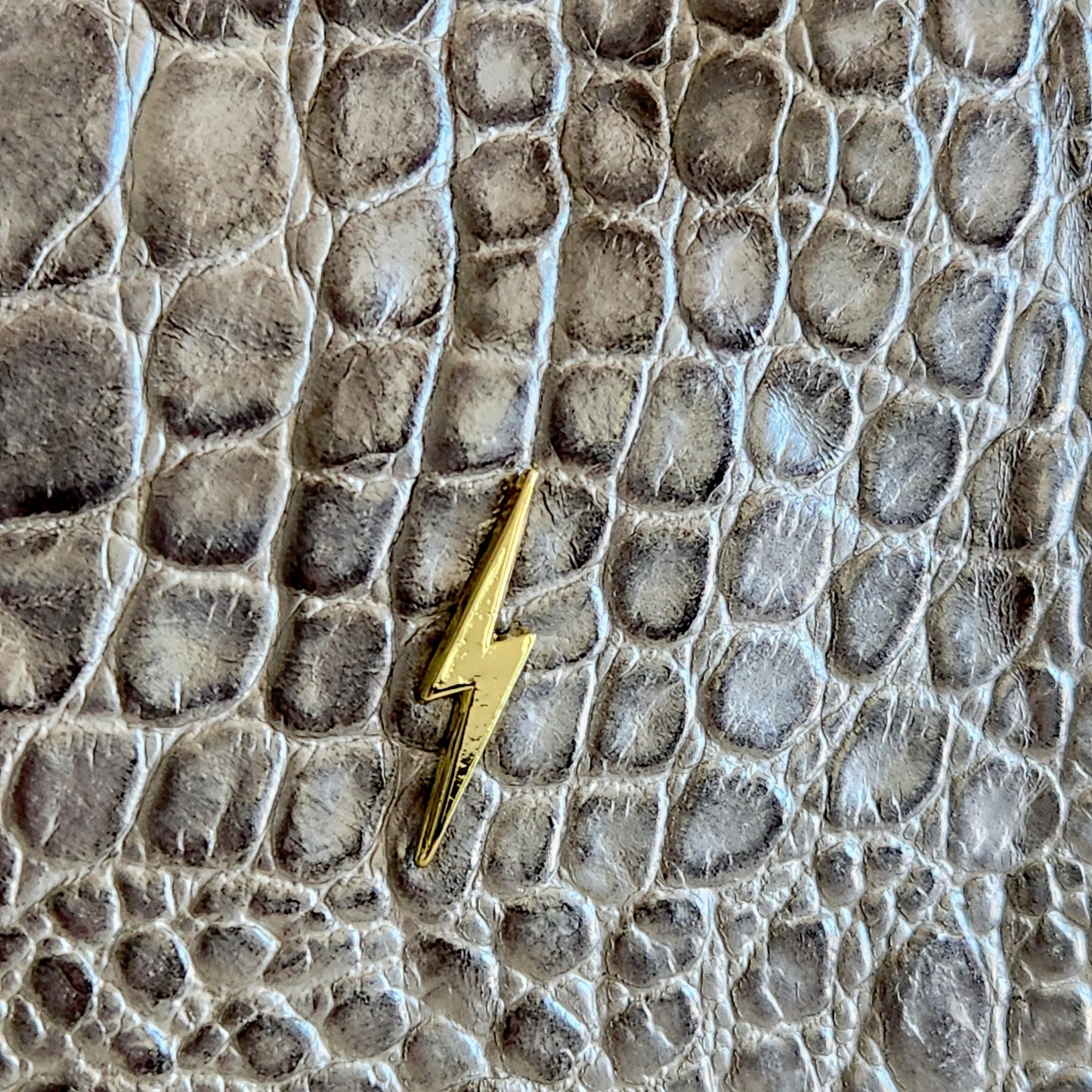 Moonbeam Croc Bolt Pouch