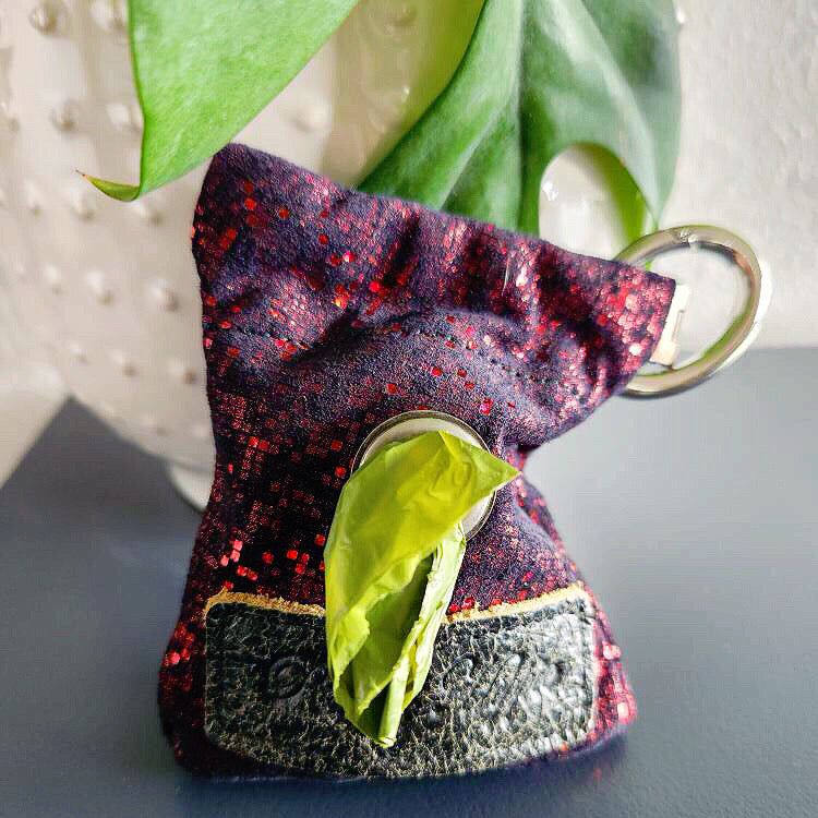 Ruby Galaxy Poop Pouch
